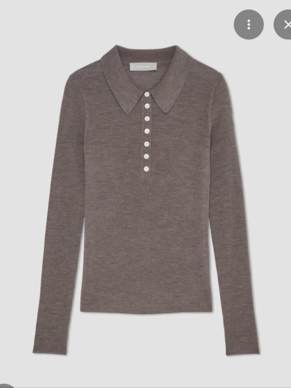Everlane Merino Polo